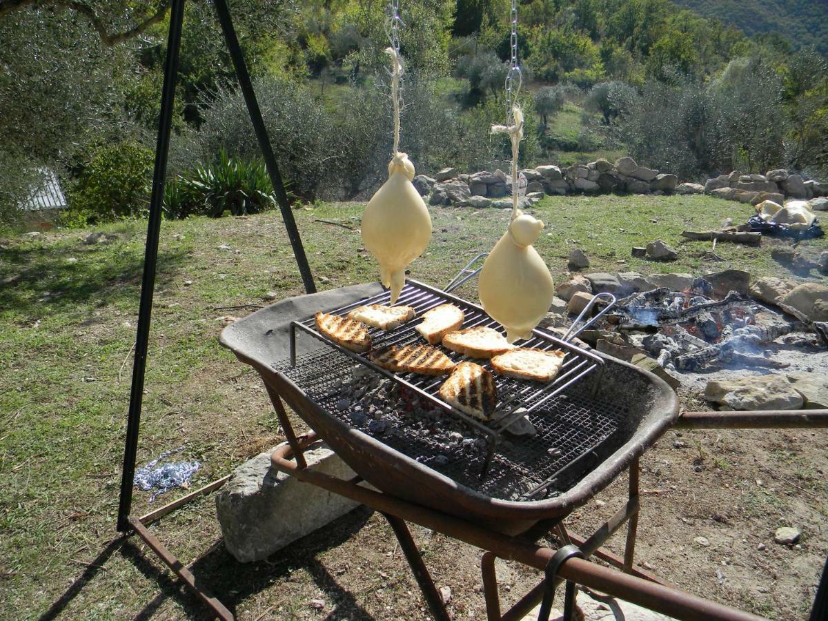 La Masseria Di Antonio E Teresina Colli a Volturno Ngoại thất bức ảnh