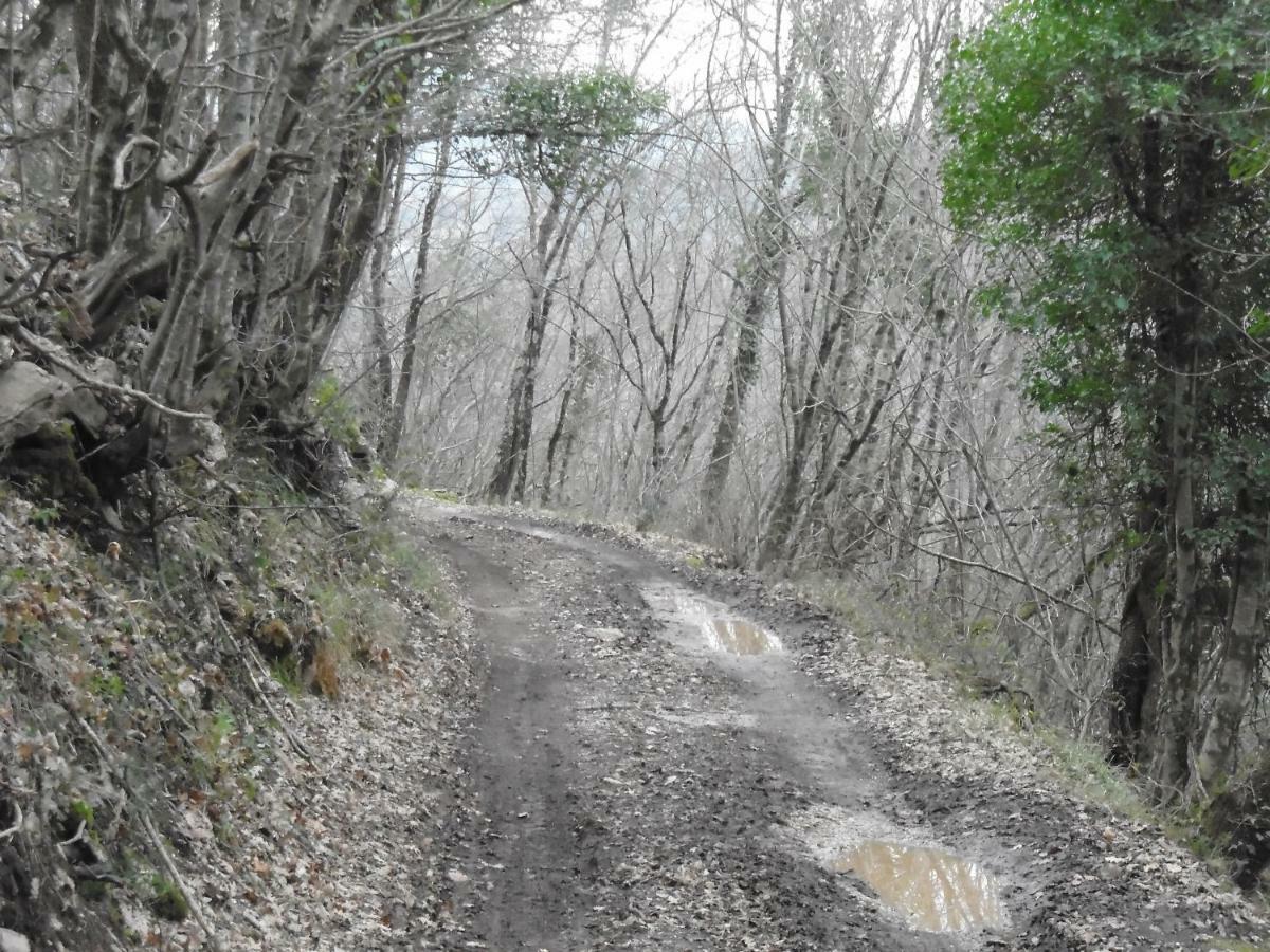La Masseria Di Antonio E Teresina Colli a Volturno Ngoại thất bức ảnh
