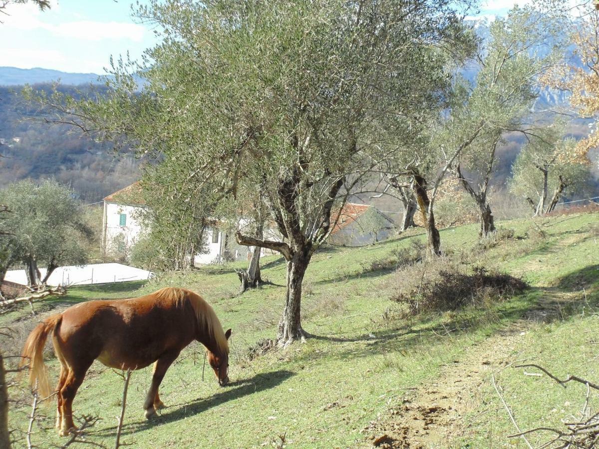 La Masseria Di Antonio E Teresina Colli a Volturno Ngoại thất bức ảnh