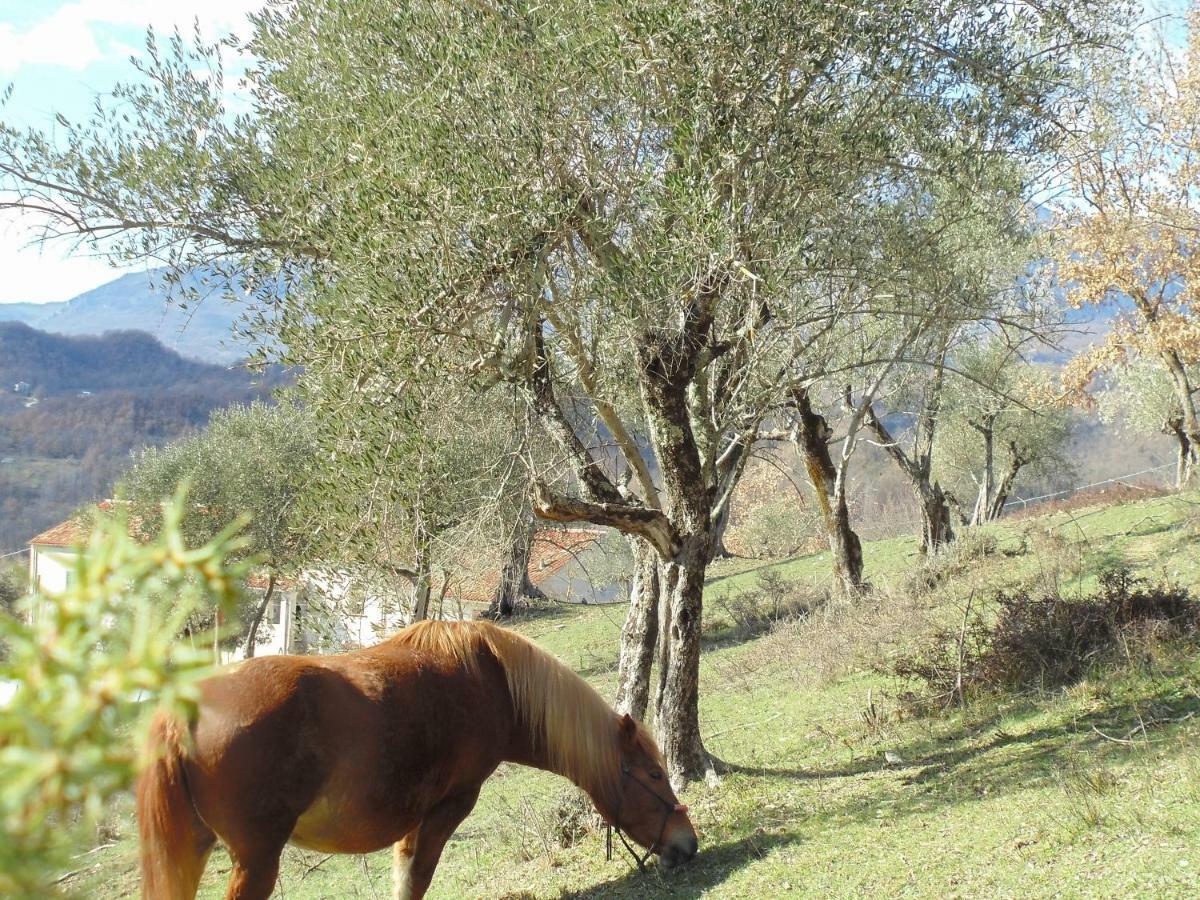 La Masseria Di Antonio E Teresina Colli a Volturno Ngoại thất bức ảnh