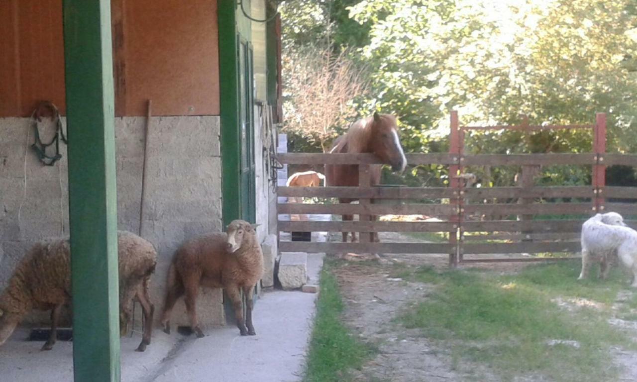 La Masseria Di Antonio E Teresina Colli a Volturno Ngoại thất bức ảnh